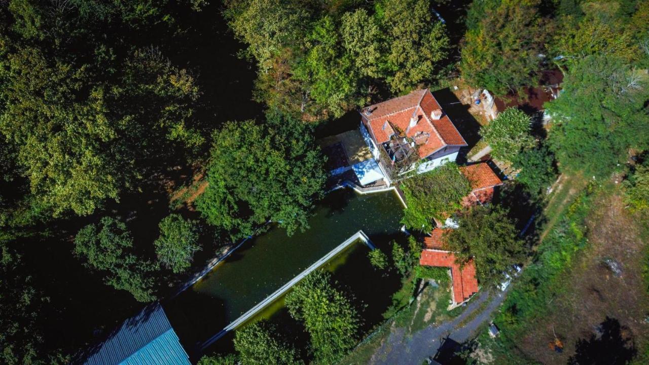 Рибарник Forest Мagic Topolitsa المظهر الخارجي الصورة